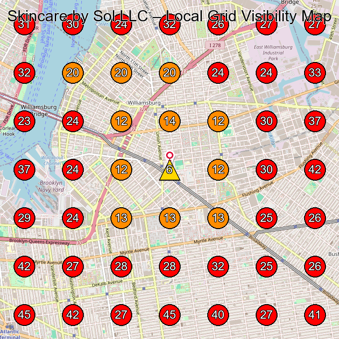 Skincare by Sol LLC GeoGrid visibility map for Facial Spa in Brooklyn